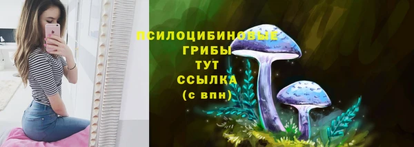 дурь Володарск