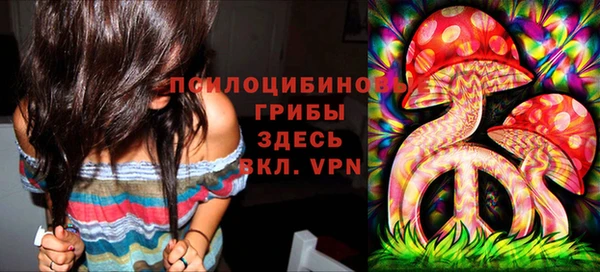 дурь Володарск