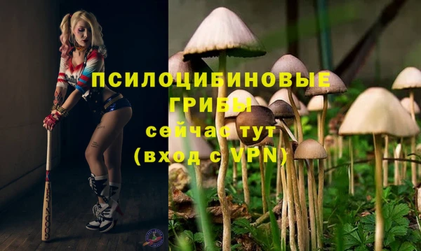 дурь Володарск