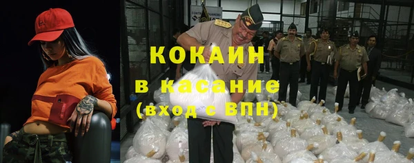 мет Бородино