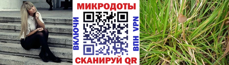 Галлюциногенные грибы мицелий  Петропавловск-Камчатский 